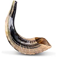 Cuerno de carnero natural Shofar con parte superior curvada y crestas de Israel